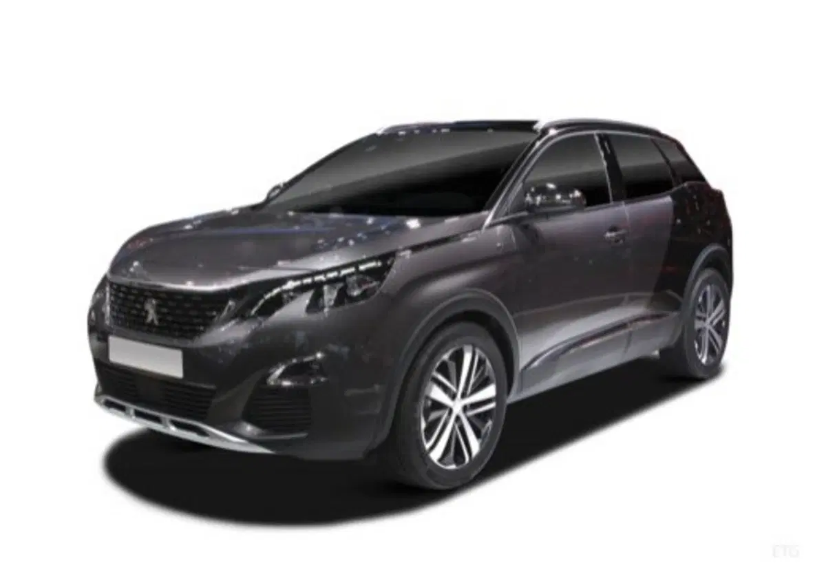 Peugeot 3008 usata a Salerno (9)