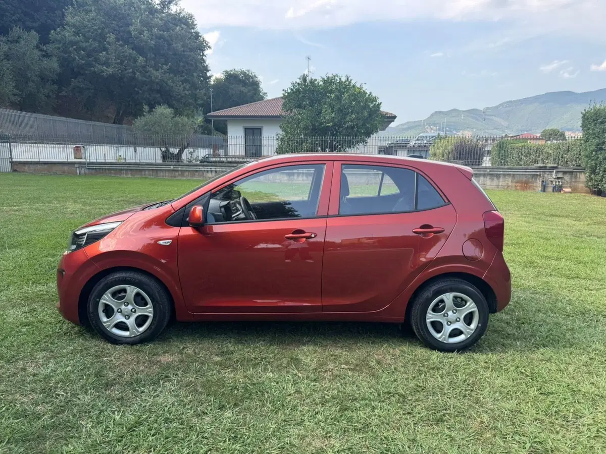 Kia Picanto usata a Salerno (10)