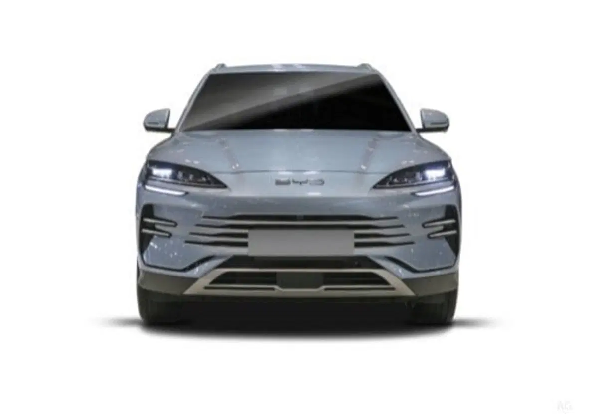 Byd Seal U DM-i usata a Salerno (10)