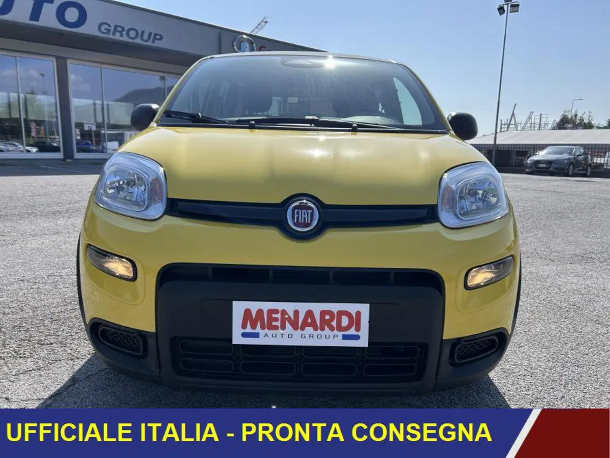 Fiat Panda nuova a Cuneo (2)