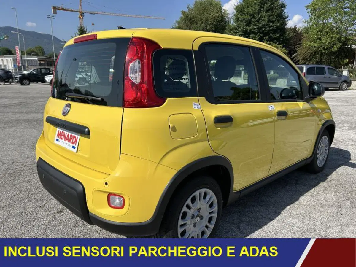 Fiat Panda nuova a Cuneo (3)
