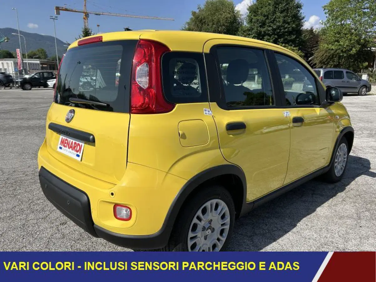 Fiat Panda nuova a Cuneo (3)
