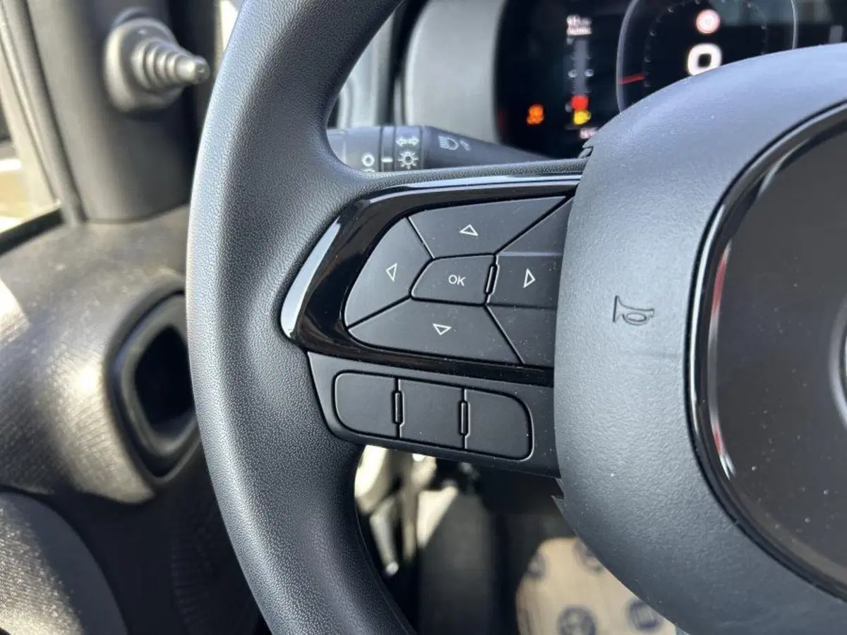 Fiat Panda nuova a Cuneo (9)