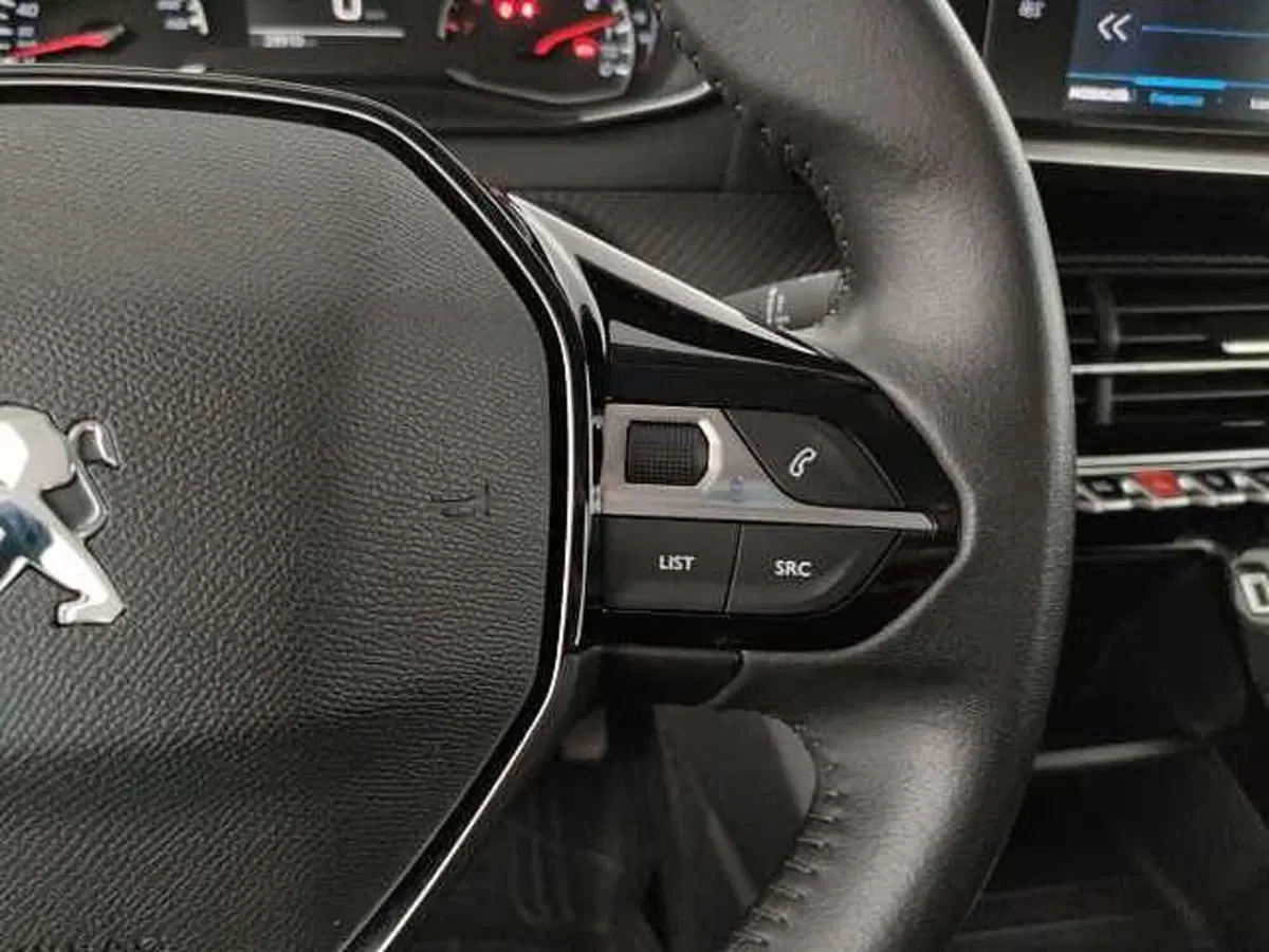 Peugeot 208 usata a Caserta (20)