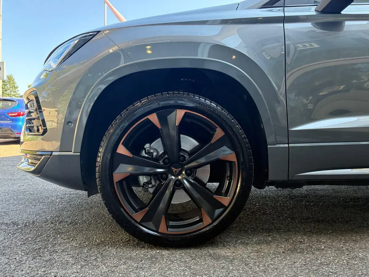 Cupra Ateca usata a Monza e Brianza (6)