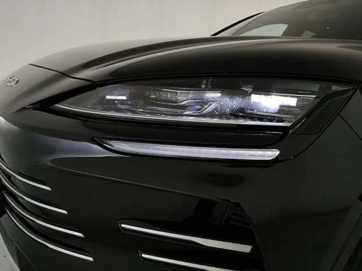 Byd Seal U DM-i usata a Caserta (18)