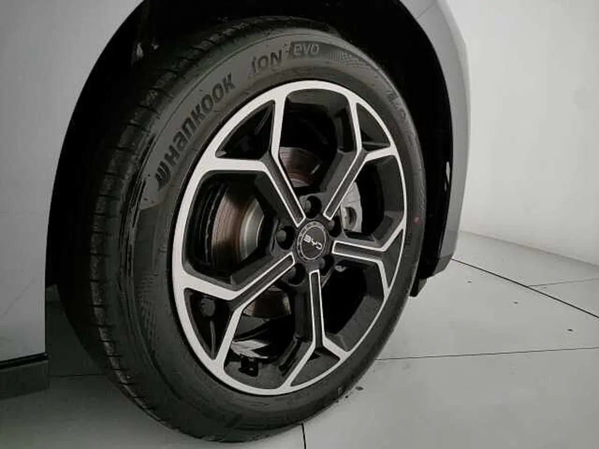 Byd Dolphin G DM-i nuova a Caserta (18)
