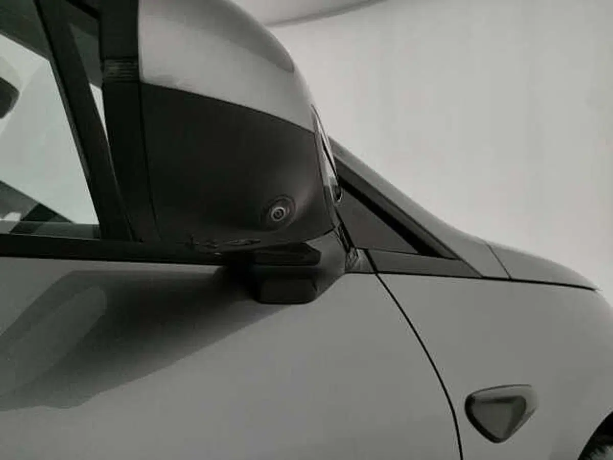 Byd Dolphin G DM-i nuova a Caserta (19)