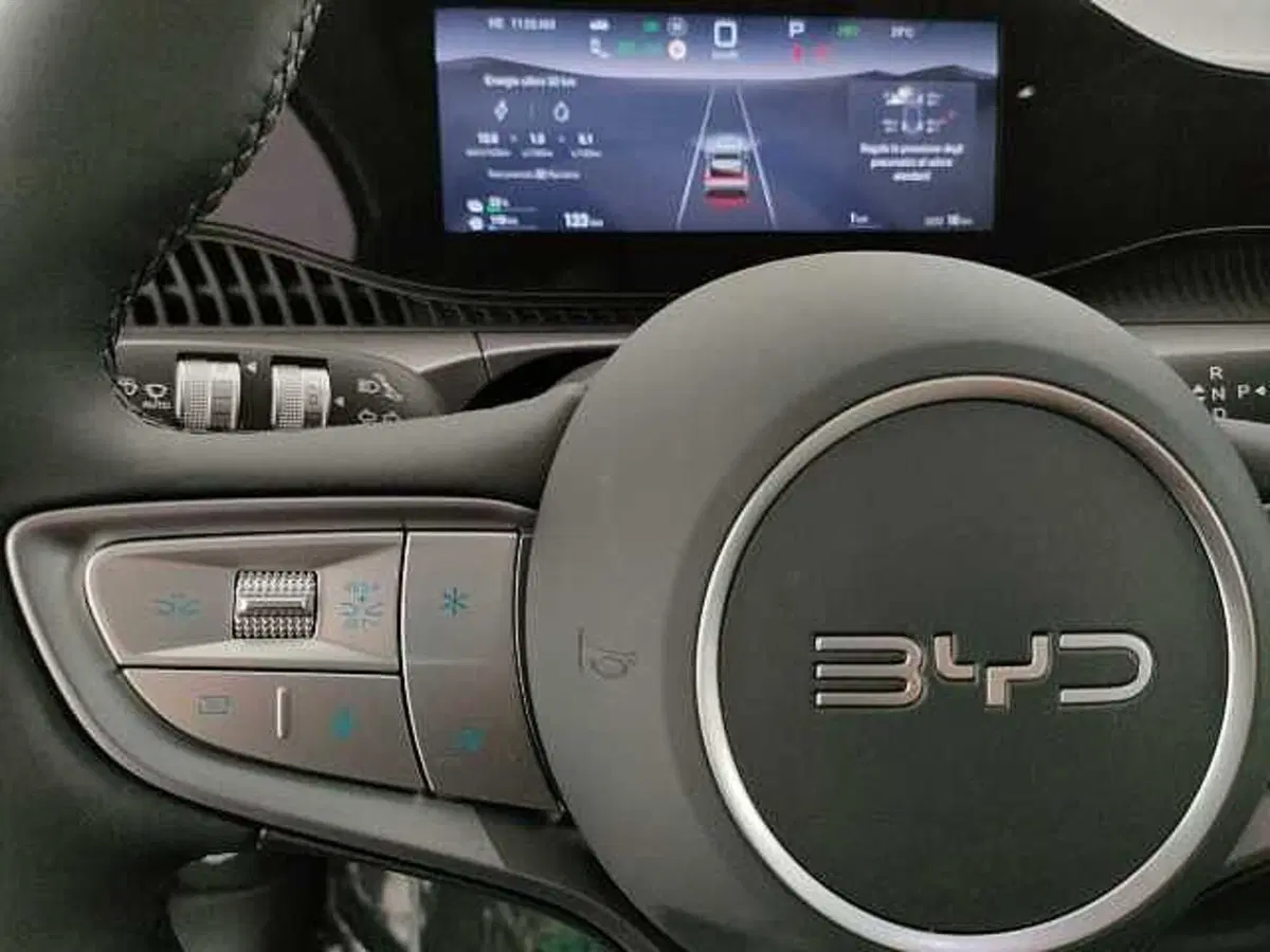 Byd Dolphin G DM-i nuova a Caserta (10)