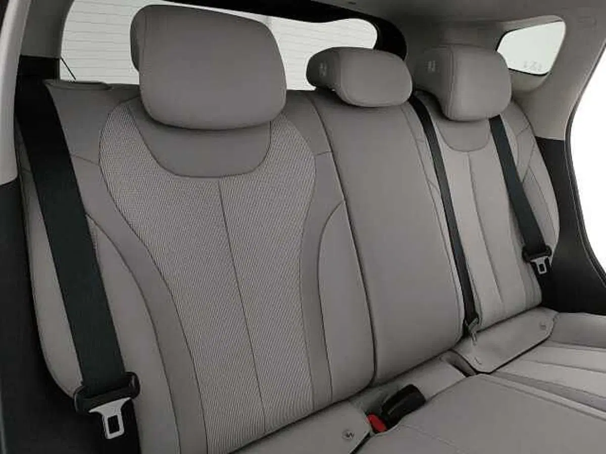 Byd Dolphin G DM-i nuova a Caserta (13)