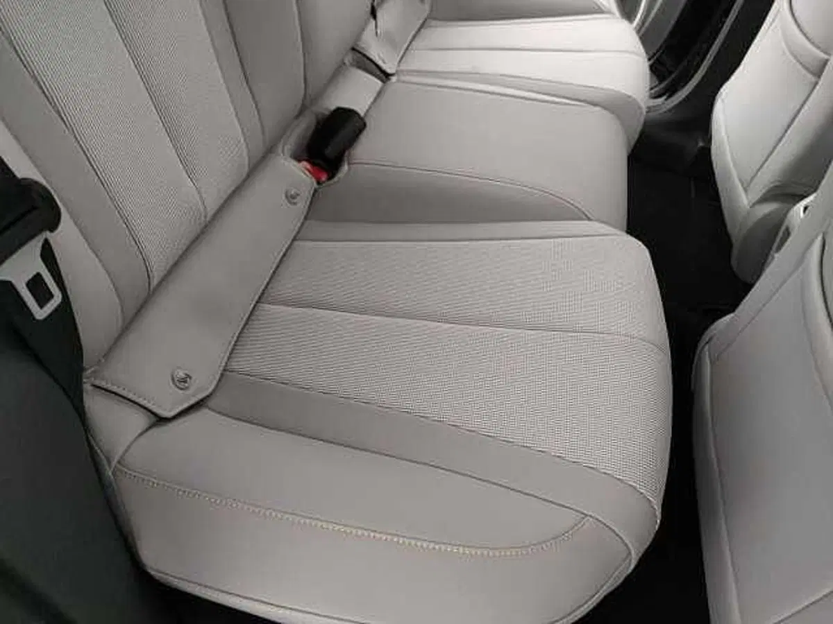 Byd Dolphin G DM-i nuova a Caserta (14)