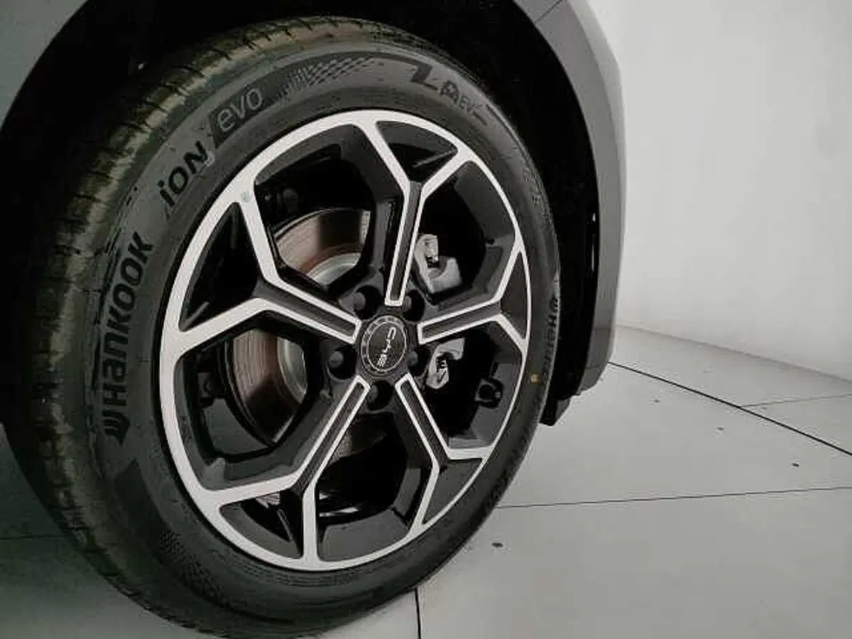 Byd Dolphin G DM-i nuova a Caserta (9)