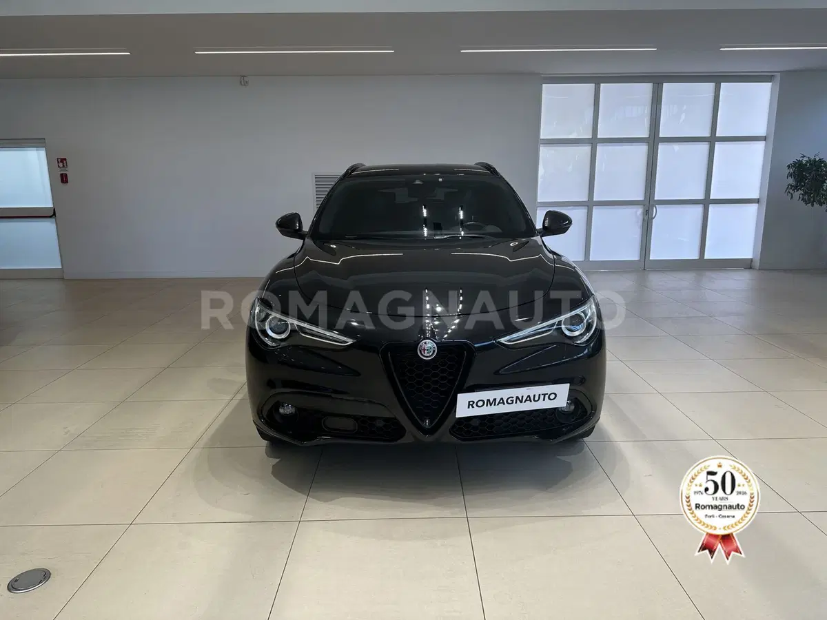 Alfa Romeo Stelvio usata a Forlì-Cesena (2)