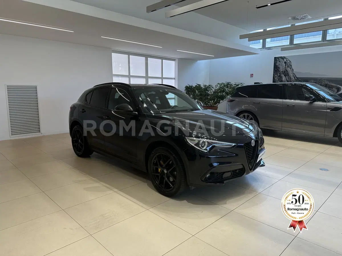 Alfa Romeo Stelvio usata a Forlì-Cesena (3)