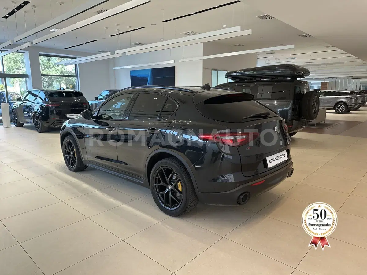 Alfa Romeo Stelvio usata a Forlì-Cesena (7)