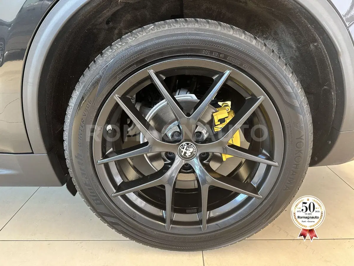 Alfa Romeo Stelvio usata a Forlì-Cesena (9)
