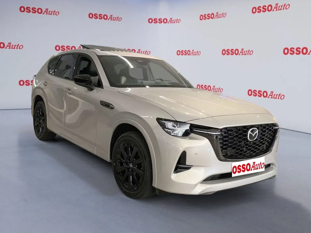 Mazda CX-60 nuova a Udine (2)