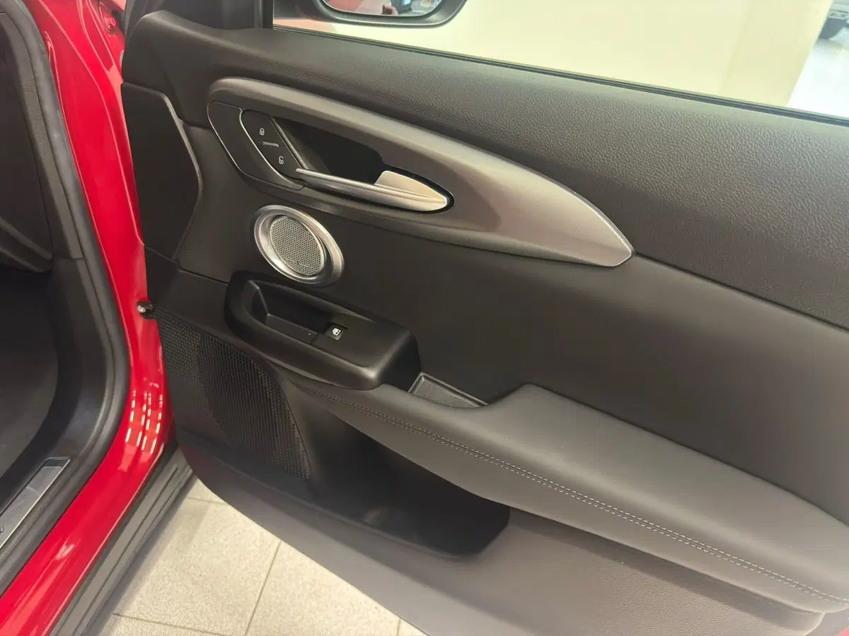 Alfa Romeo Tonale usata a Novara (11)