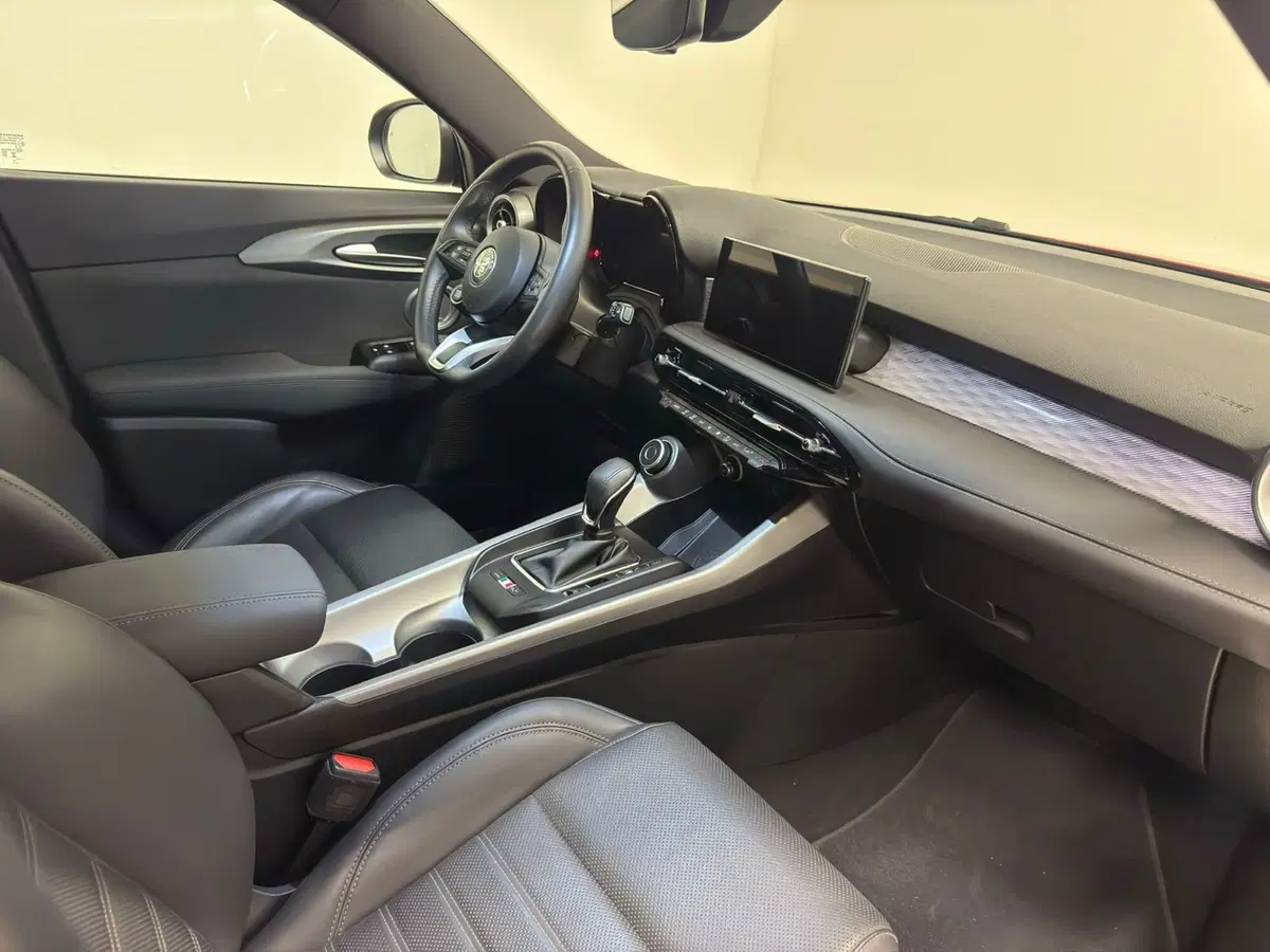 Alfa Romeo Tonale usata a Novara (14)