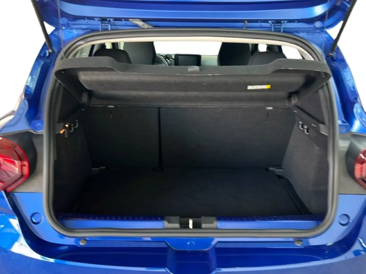 Dacia Sandero usata a Roma (10)