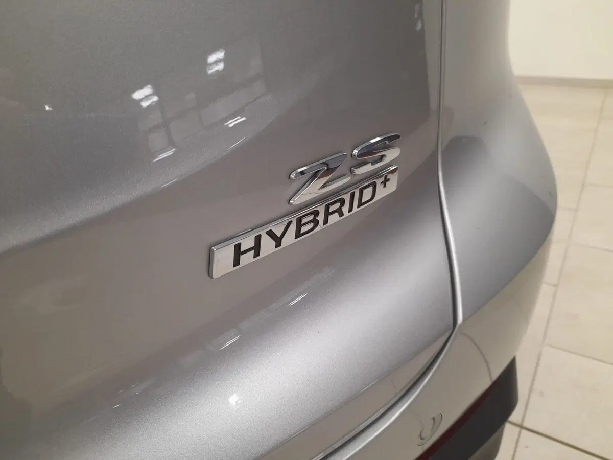 Mg ZS nuova a Alessandria (16)