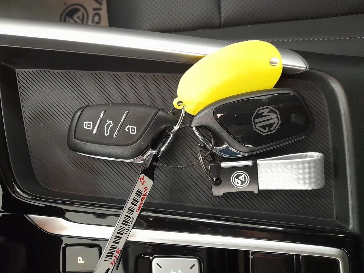 Mg ZS nuova a Alessandria (17)