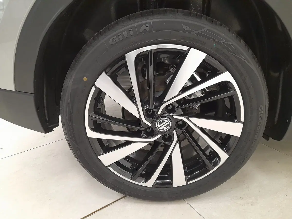 Mg ZS nuova a Alessandria (19)