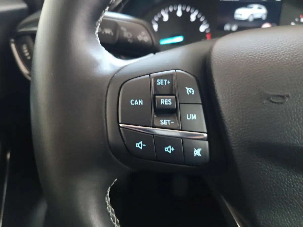 Ford Puma usata a Varese (14)