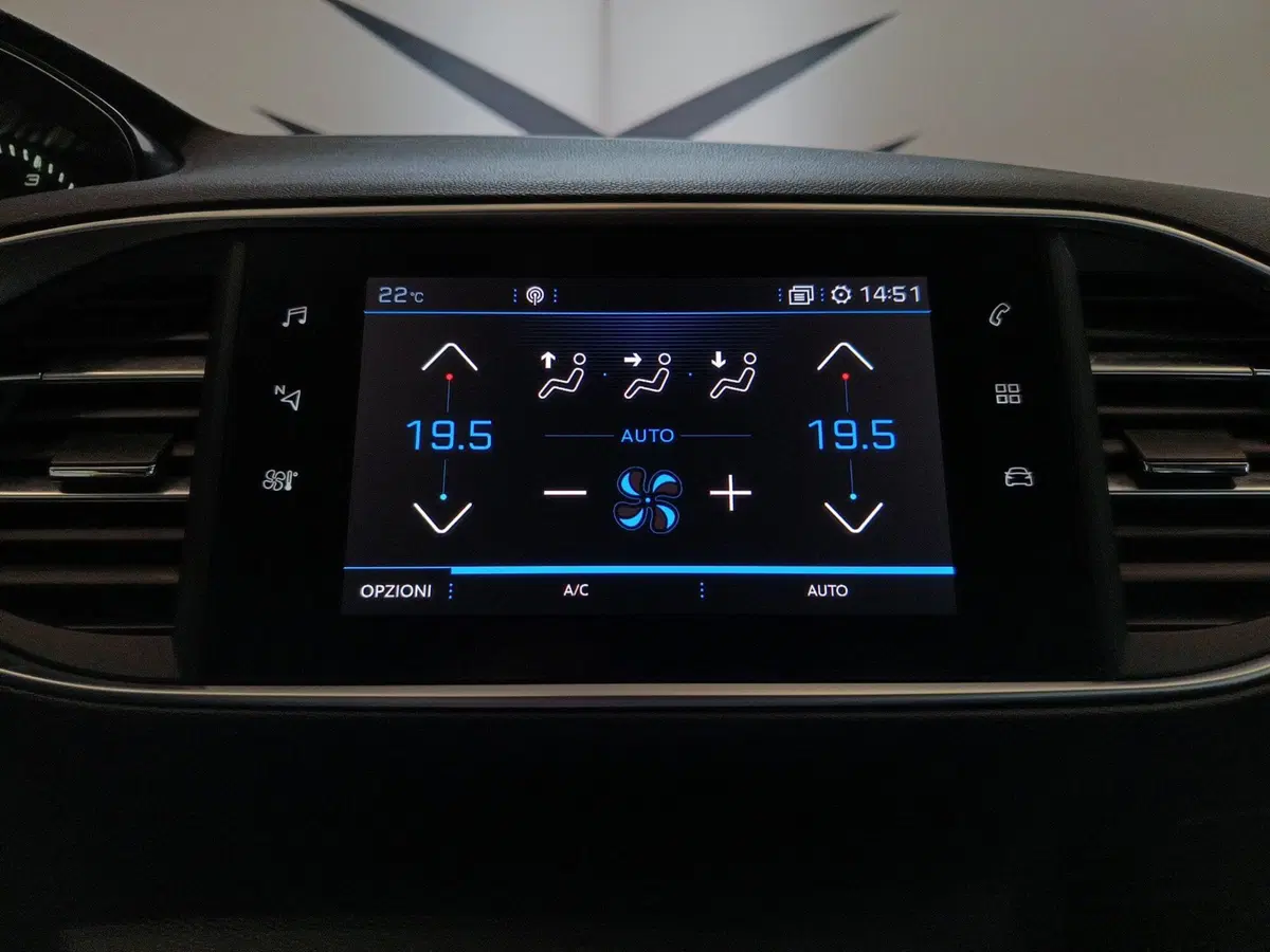 Peugeot 308 SW usata a Varese (14)