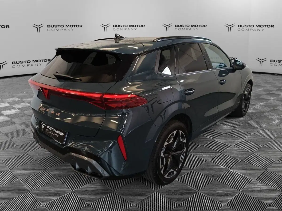 Cupra Terramar usata a Varese (6)