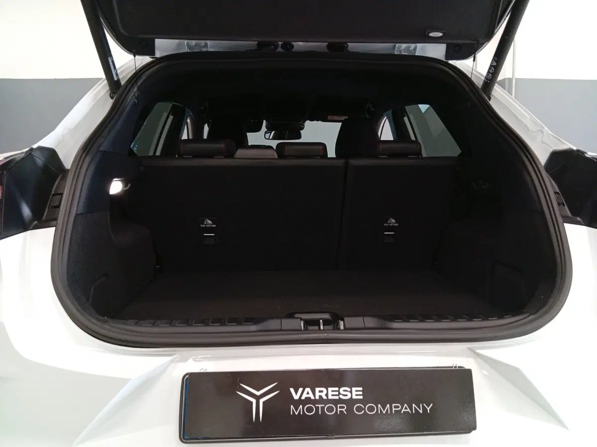Ford Puma usata a Varese (7)
