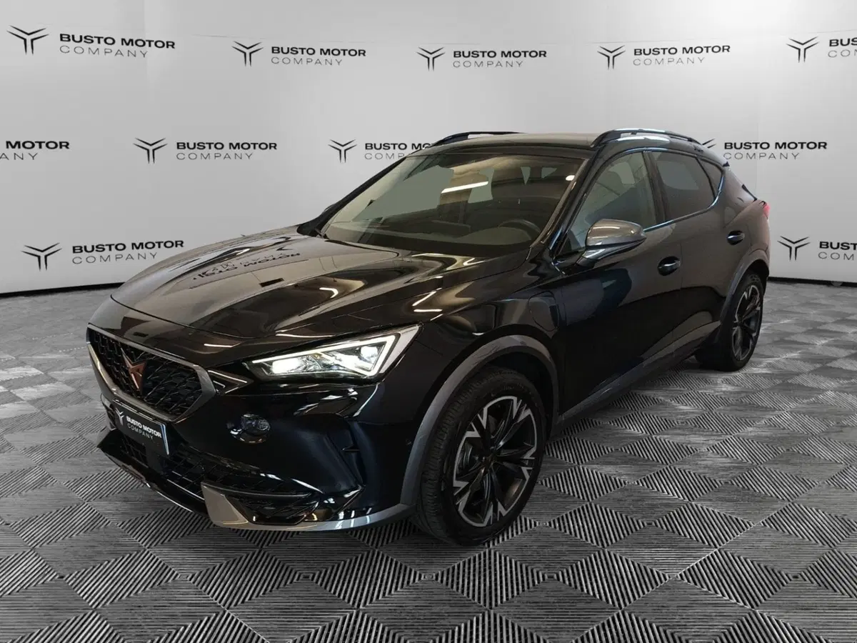 Cupra Formentor usata a Varese (3)