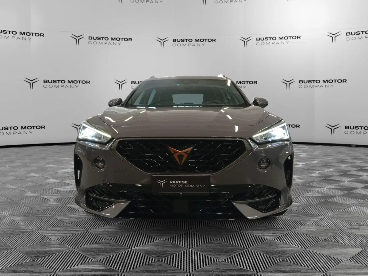 Cupra Formentor usata a Varese (2)