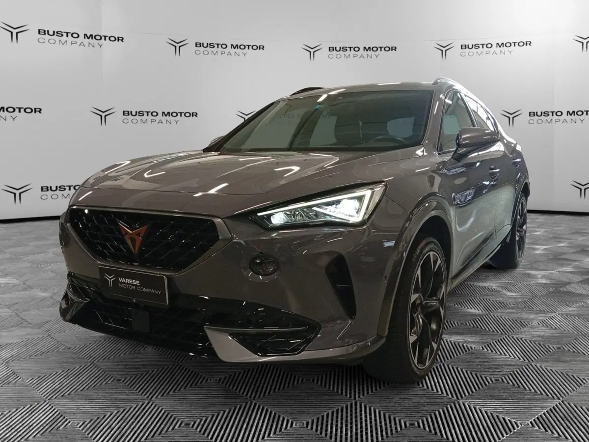 Cupra Formentor usata a Varese (3)