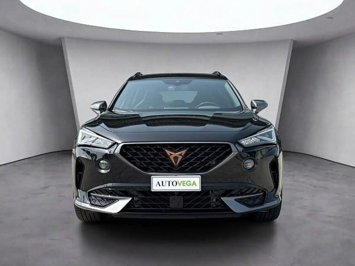 Cupra Formentor usata a Vicenza (2)