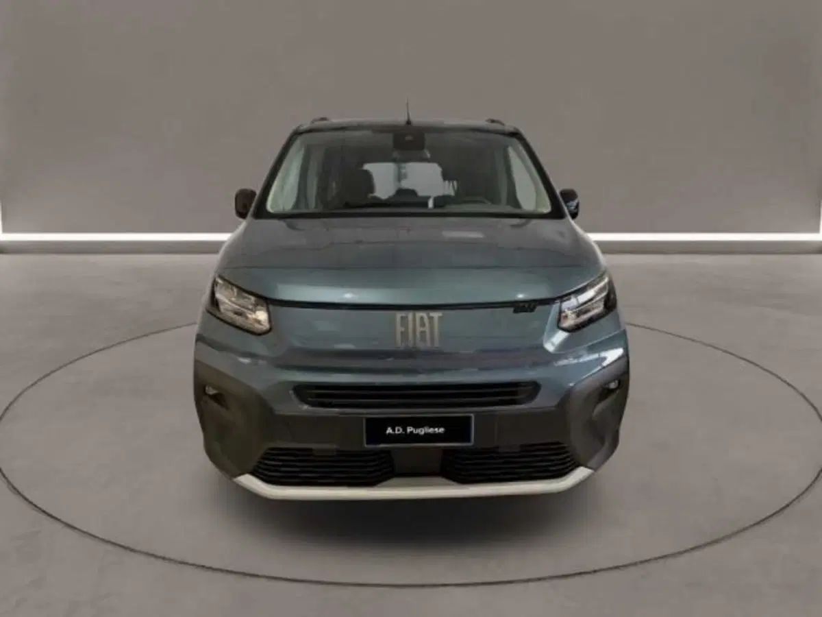 Fiat Doblò usata a Caltanissetta (2)