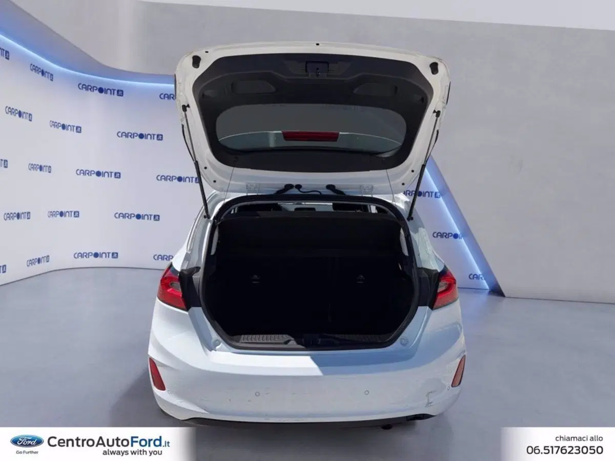 Ford Fiesta usata a Roma (17)