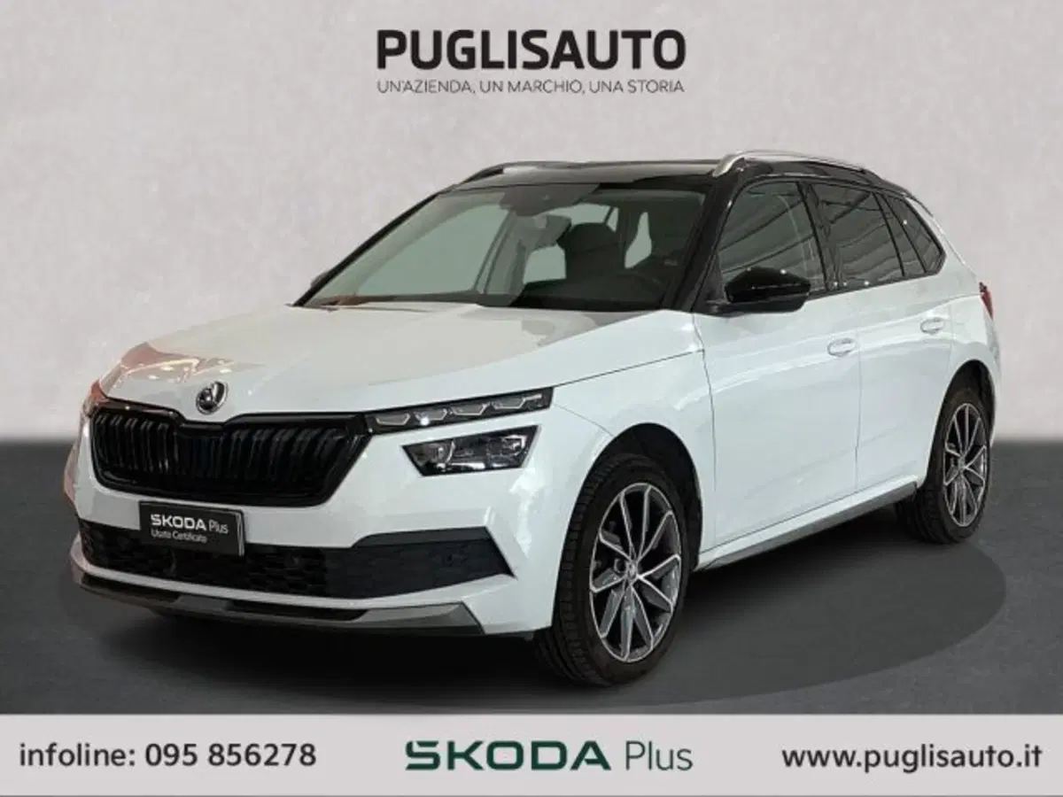 Skoda Kamiq usata a Catania (3)