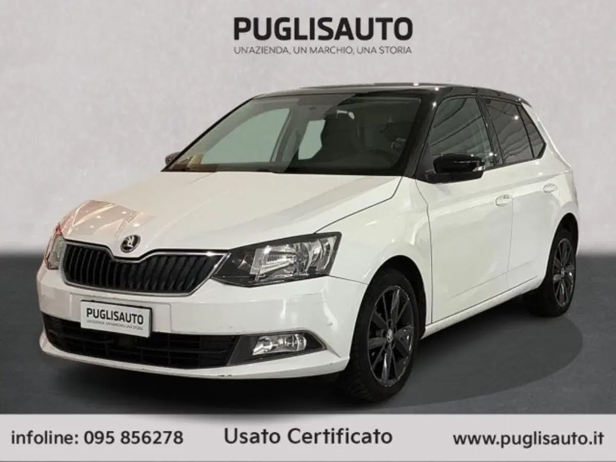 Skoda Fabia usata a Catania (3)