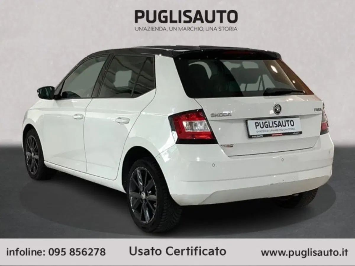Skoda Fabia usata a Catania (6)
