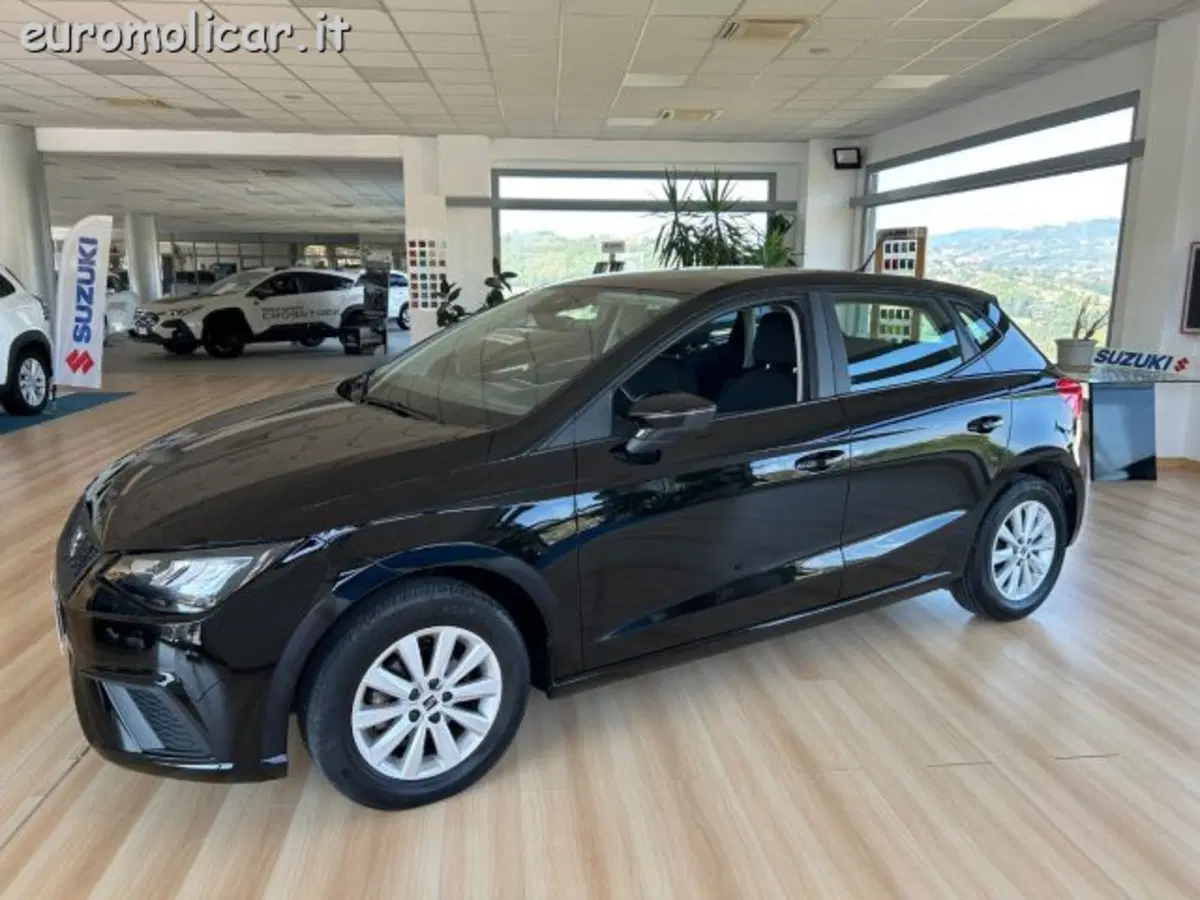 SEAT Ibiza usata a Campobasso (10)