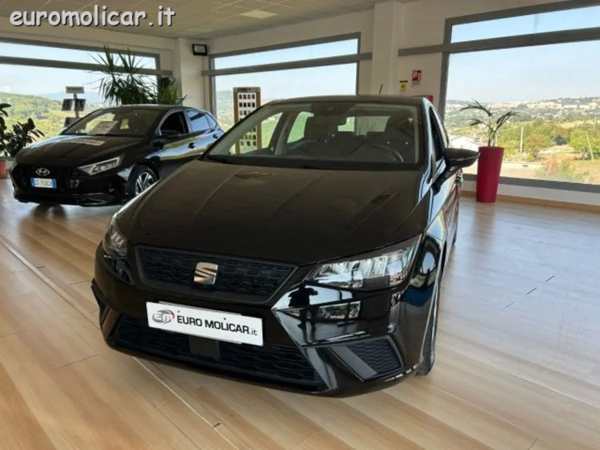 SEAT Ibiza usata a Campobasso (11)