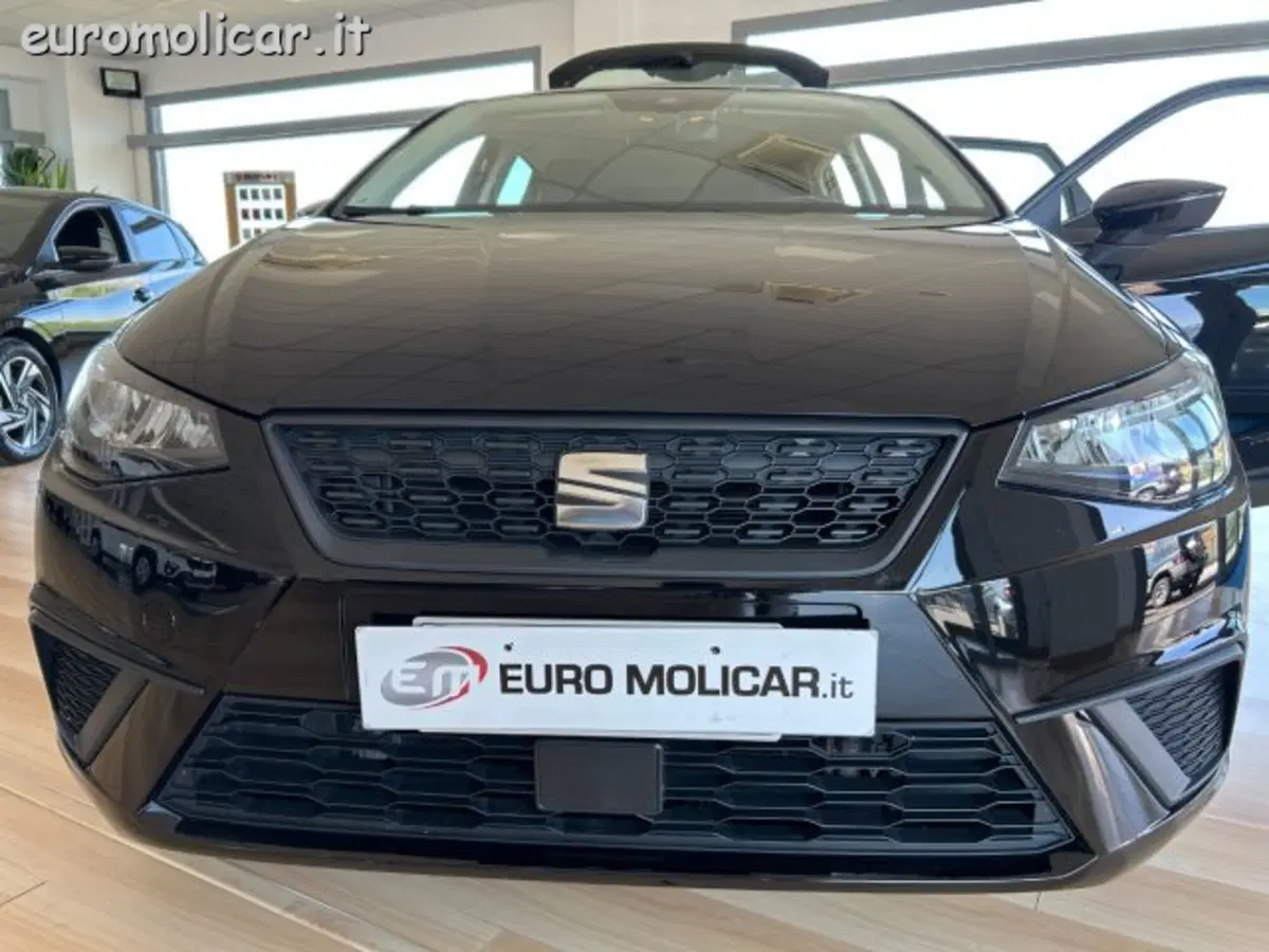 SEAT Ibiza usata a Campobasso (19)