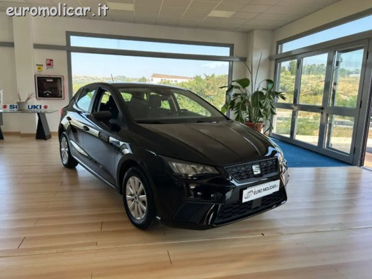 SEAT Ibiza usata a Campobasso (2)