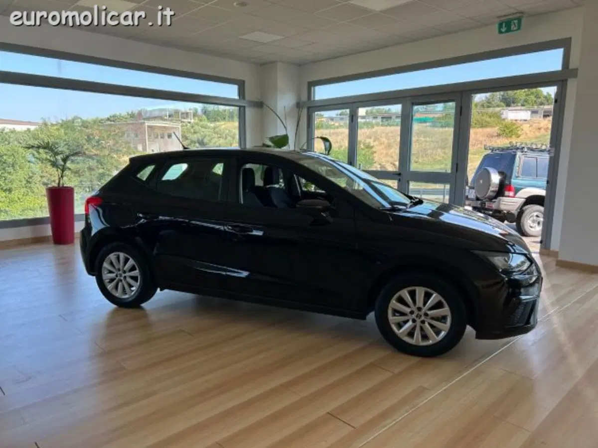 SEAT Ibiza usata a Campobasso (3)