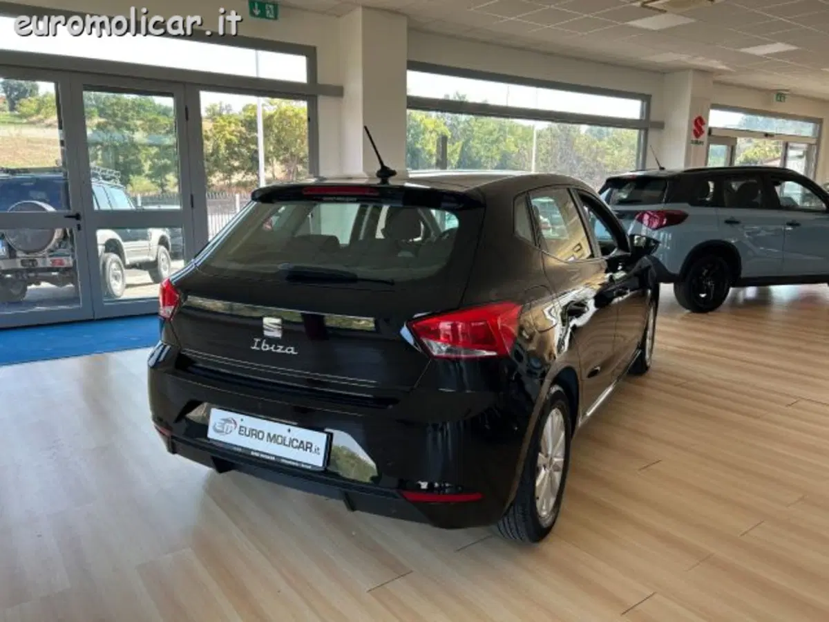 SEAT Ibiza usata a Campobasso (5)