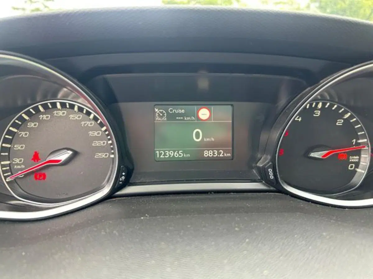 Peugeot 308 usata a Campobasso (13)