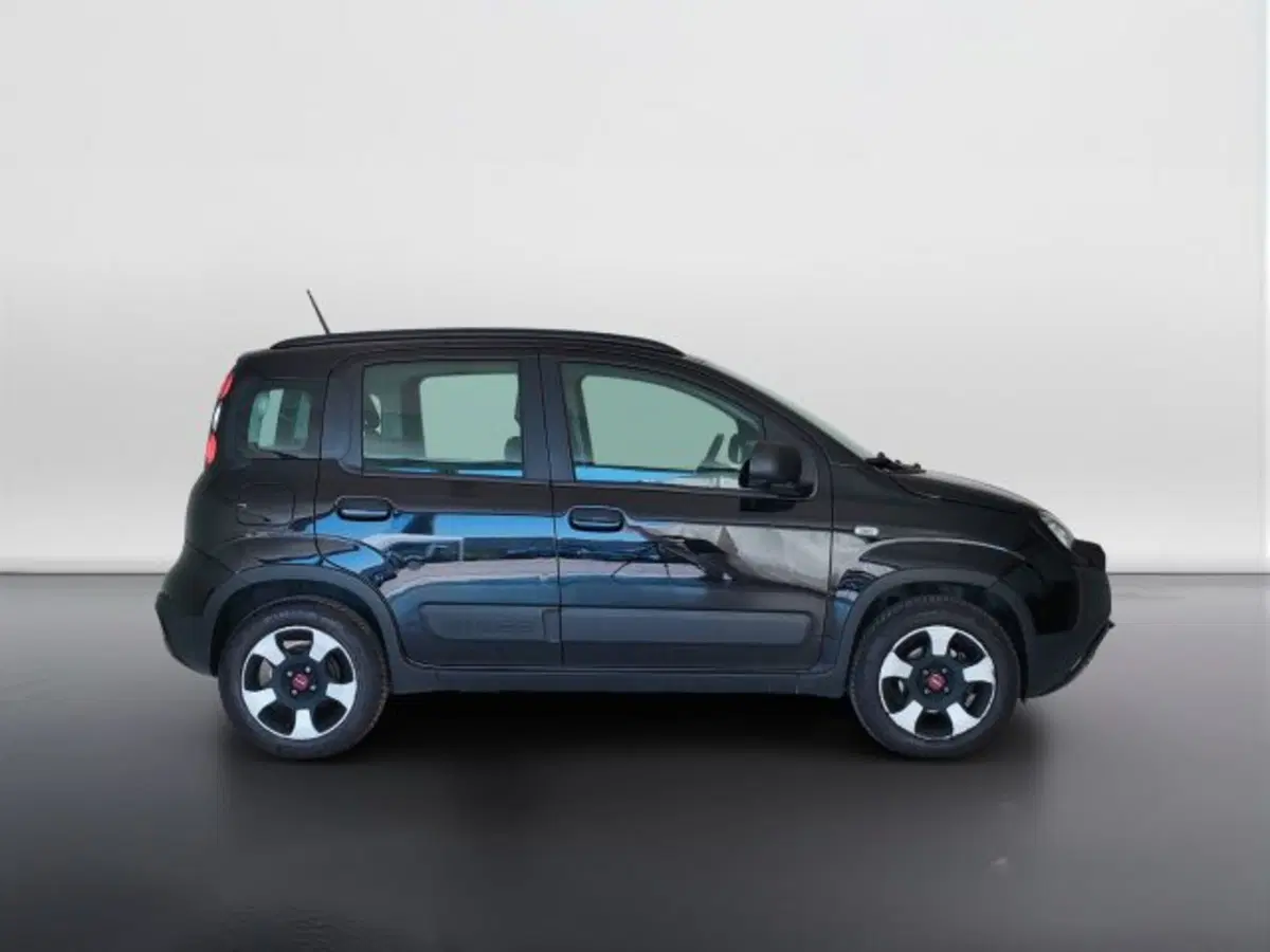 Fiat Panda usata a Teramo (4)