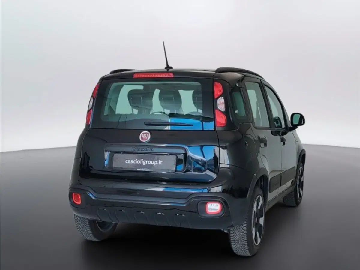 Fiat Panda usata a Teramo (5)