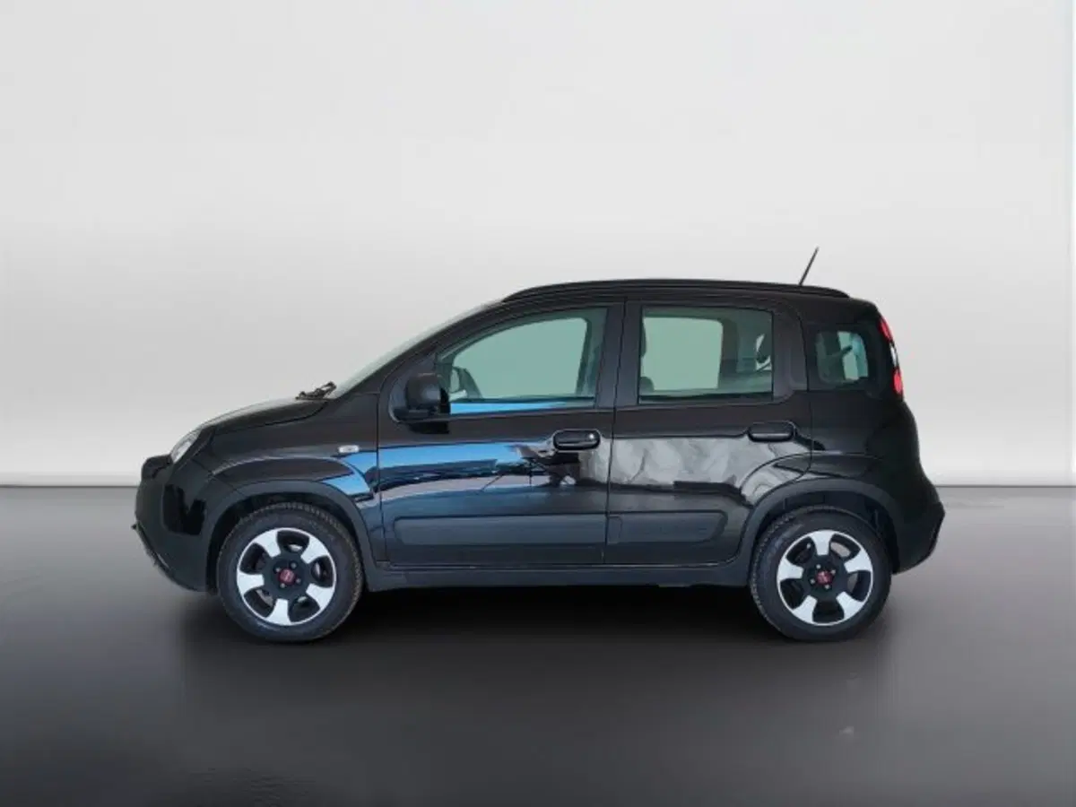 Fiat Panda usata a Teramo (8)
